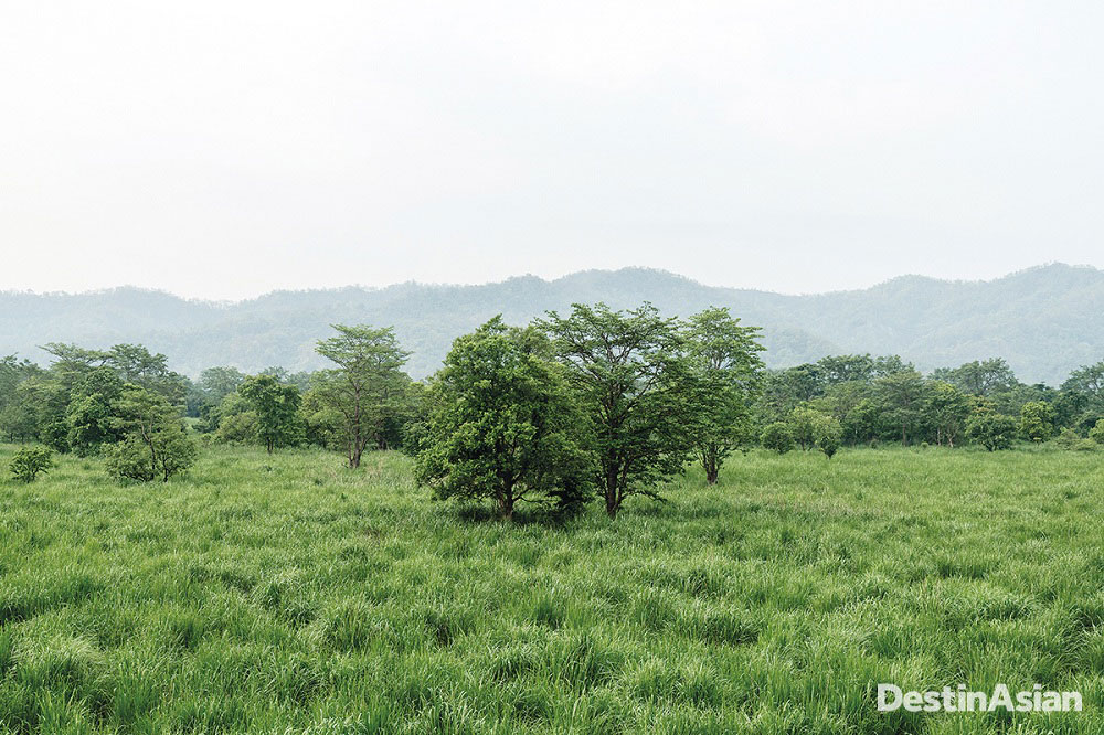 Forest-fringed grasslands in Chitwan National Park.
