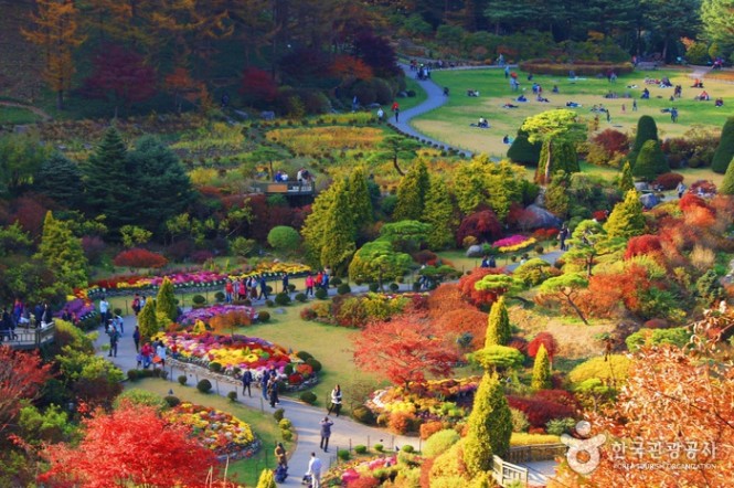 The garden in autumn. All photos are from the Korean tourism board.