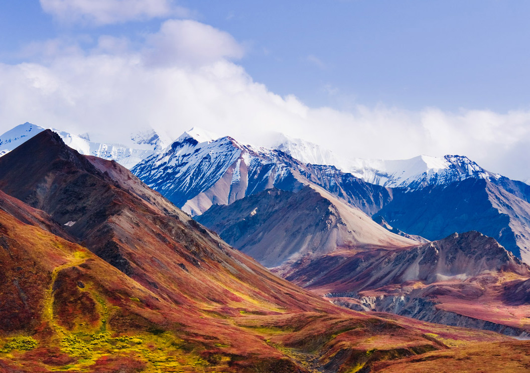 The Alaska Range rises above the autumn-colored tundra of Denali National Park.
