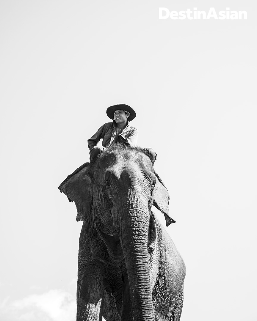 A mahout and his mount at Elephant Village. 