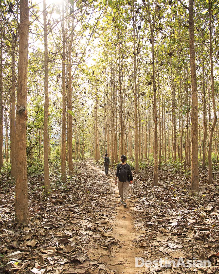 Exploring the Lao countryside on a trek with Tiger Trail. 