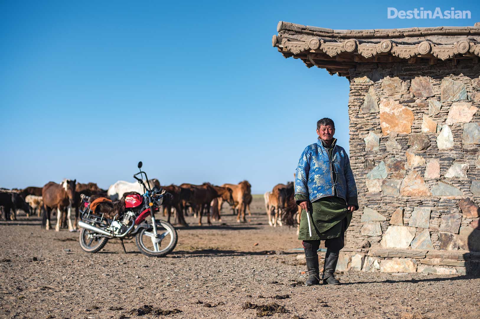 A "modern" Mongolian herder at Three Camel Lodge. 