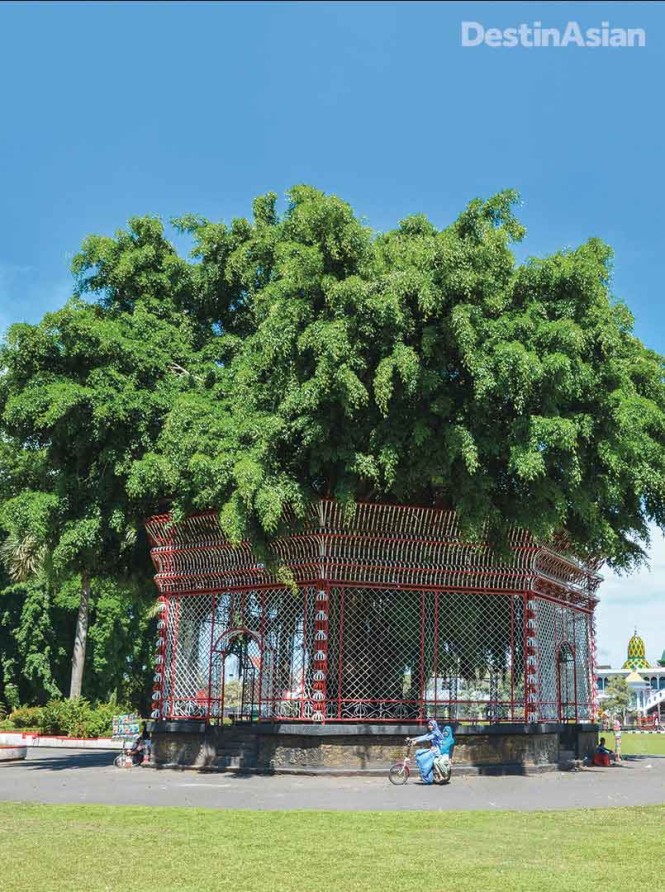 An enormous banyan tree marks the center of the alun-alun, Blitar's main square.