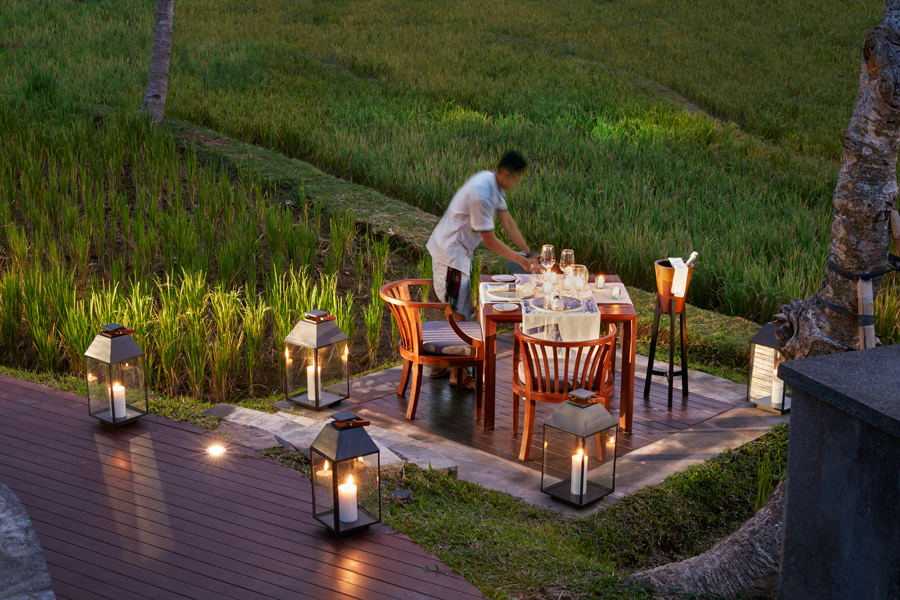 Dining-Beyond-by-Rice-Field