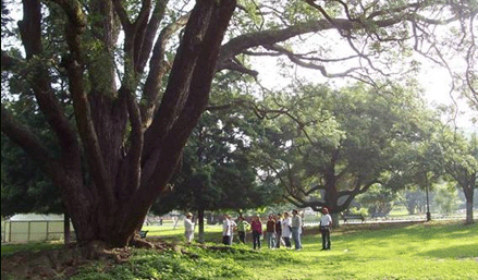 The Green Heritage walking tour in Bangalore.