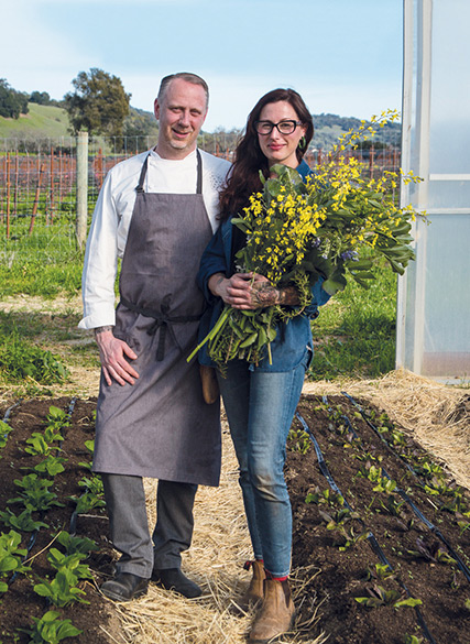healdsburg-4