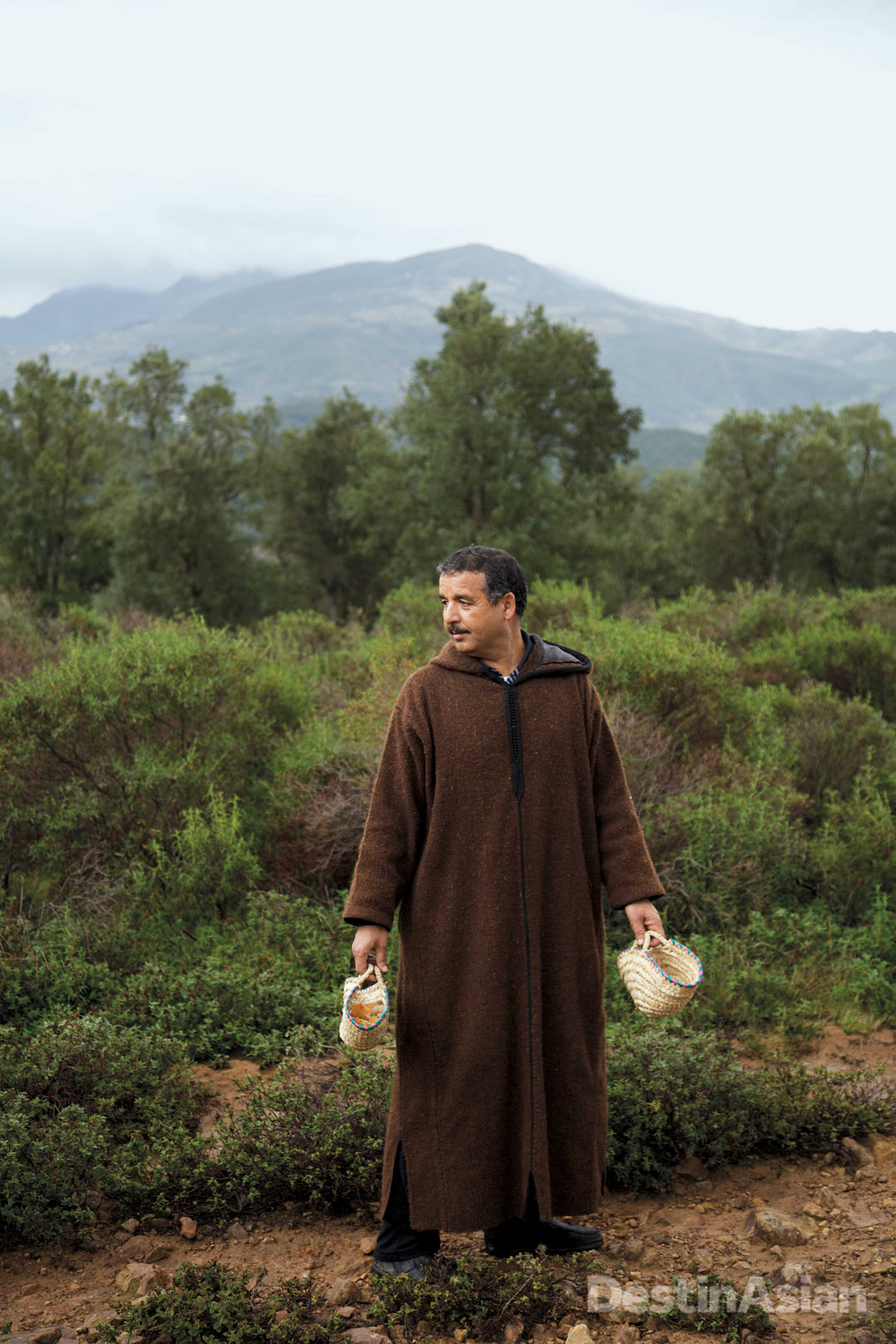 Local forager and mushroom expert Mohammed Elafia in the mountains near Chefchaouen.
