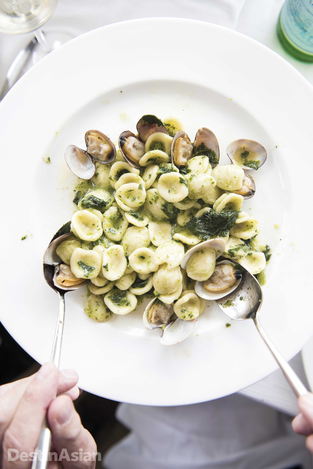 Puglia’s signature “little ears” pasta—with turnip greens and clams.