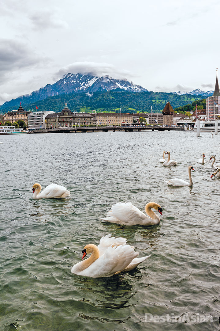 A view of the western end of Lake Lucerne from the quay in front of Hotel Schweizerhof, with Mount Pilatus in the background. 