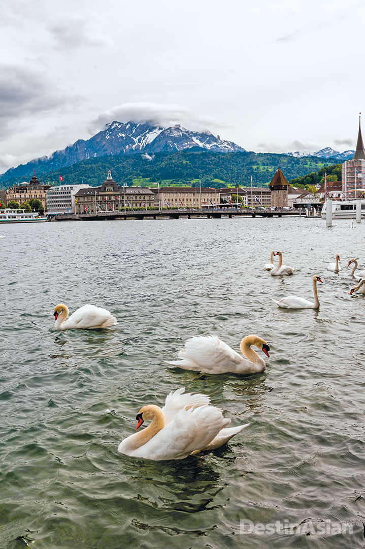A view of the western end of Lake Lucerne from the quay in front of Hotel Schweizerhof, with Mount Pilatus in the background.