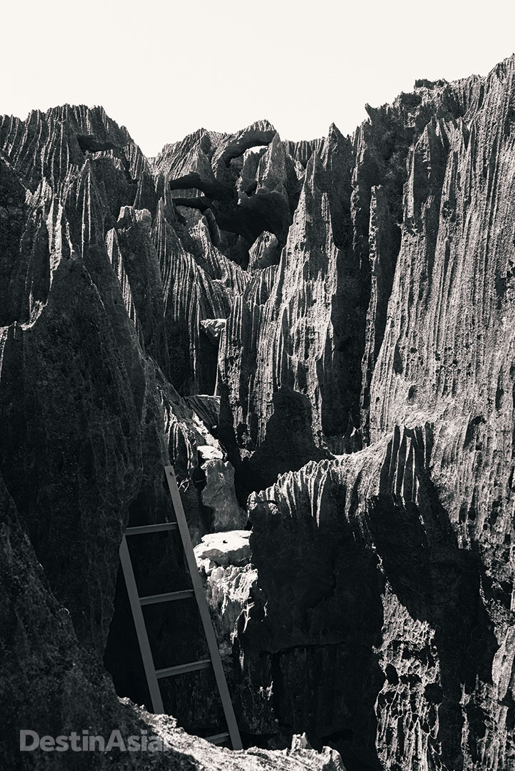 A ladder guides the way up razor-sharp limestone rocks in the karstic badlands of Tsingy de Bemaraha National Park. 