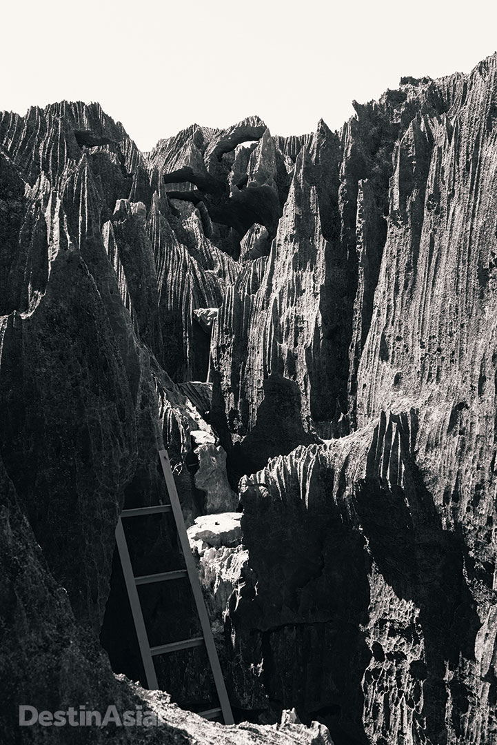 A ladder guides the way up razor-sharp limestone rocks in the karstic badlands of Tsingy de Bemaraha National Park.
