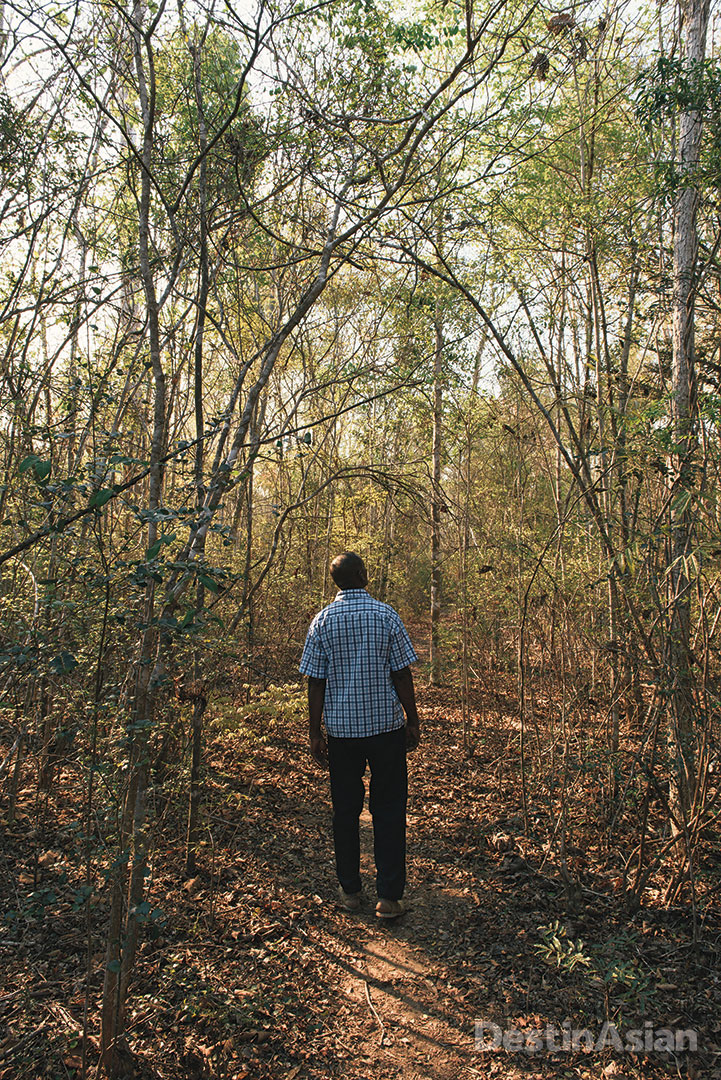 A well-trodden path in Kirindy Forest. 