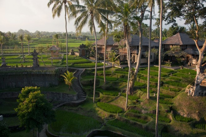 The hotel's 58 villas are spread amid rice terraces.