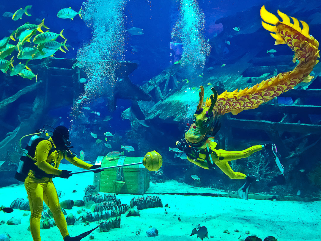 The Underwater Dragon Dance.