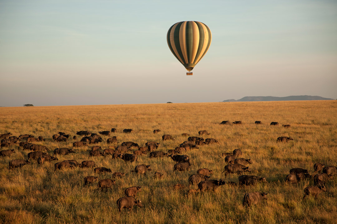 Floating in a hot air balloon over the Serengeti.