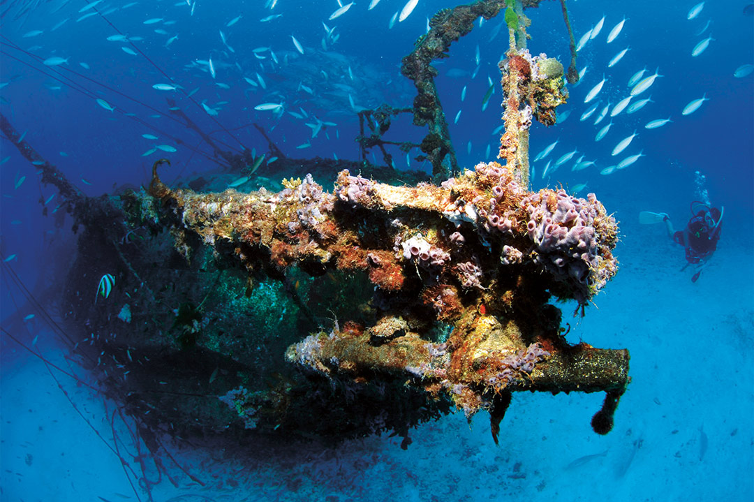 The coral-festooned wreck of the sailing boat Severance. 