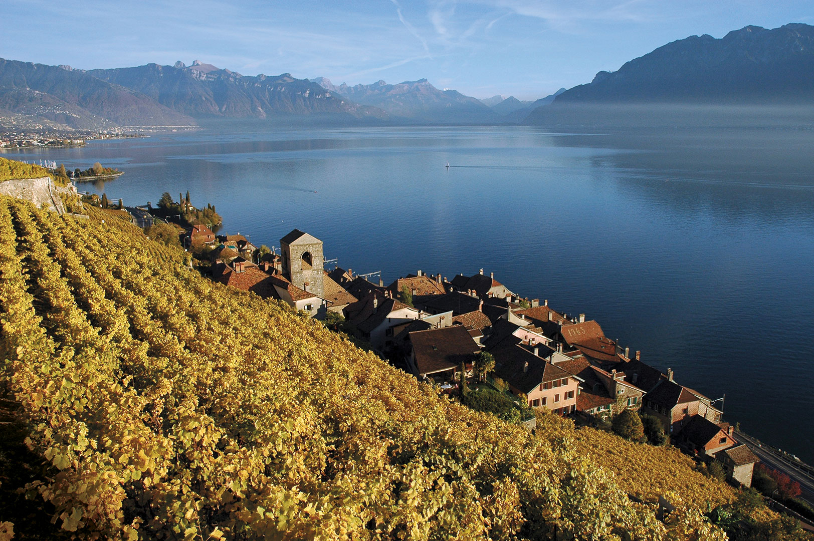 Lake Geneva and the terraced vineyards of Lavaux, near the village of Saint-Saphorin. 