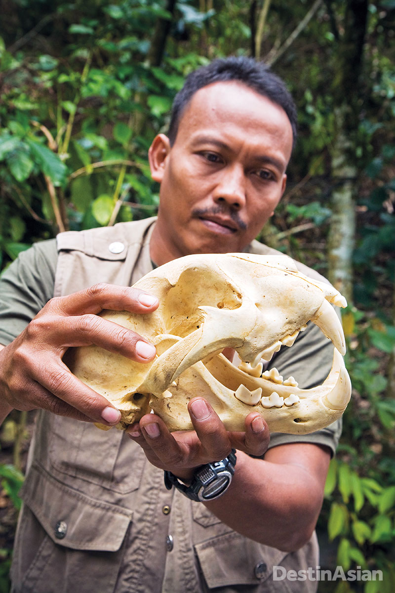 Poaching remains a threat, as this skull displayed by a park ranger attests.