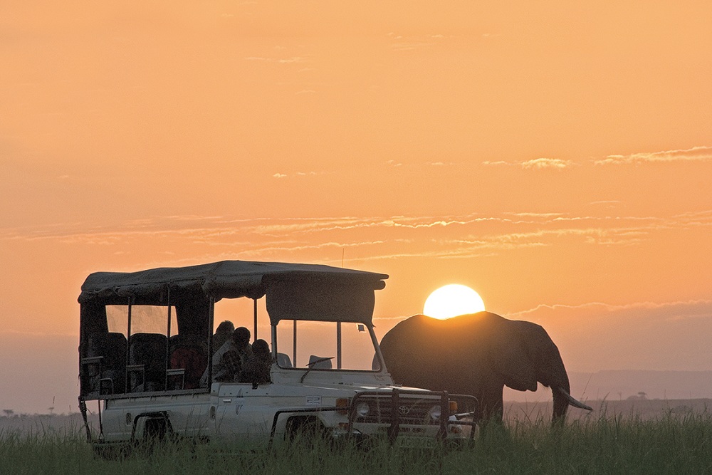 Masai Mara Sunrise Safari