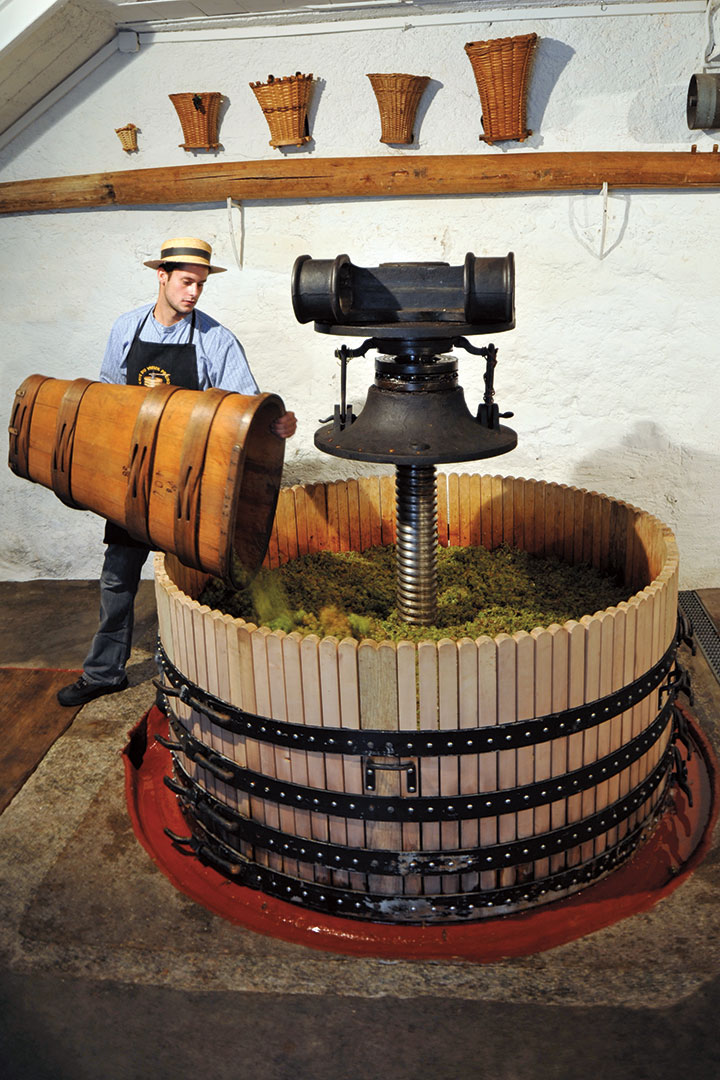 Pressing grapes the traditional way at a Lavaux winery. 