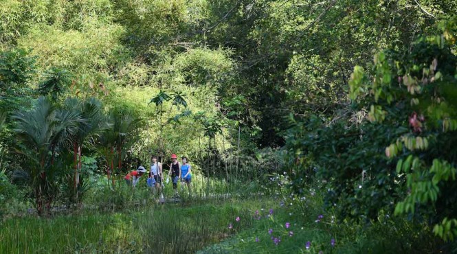The park 