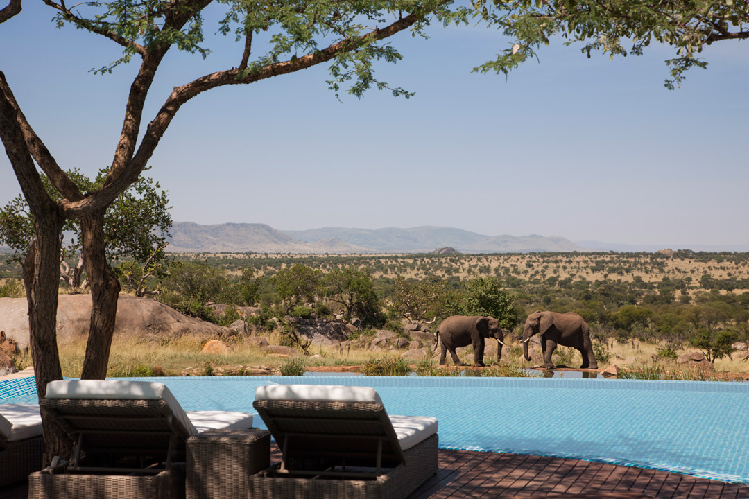 Poolside at the Four Seasons Safari Lodge Serengeti.