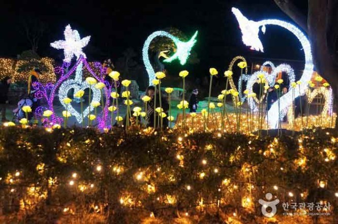 The garden decked with lights during one of its numerous events.