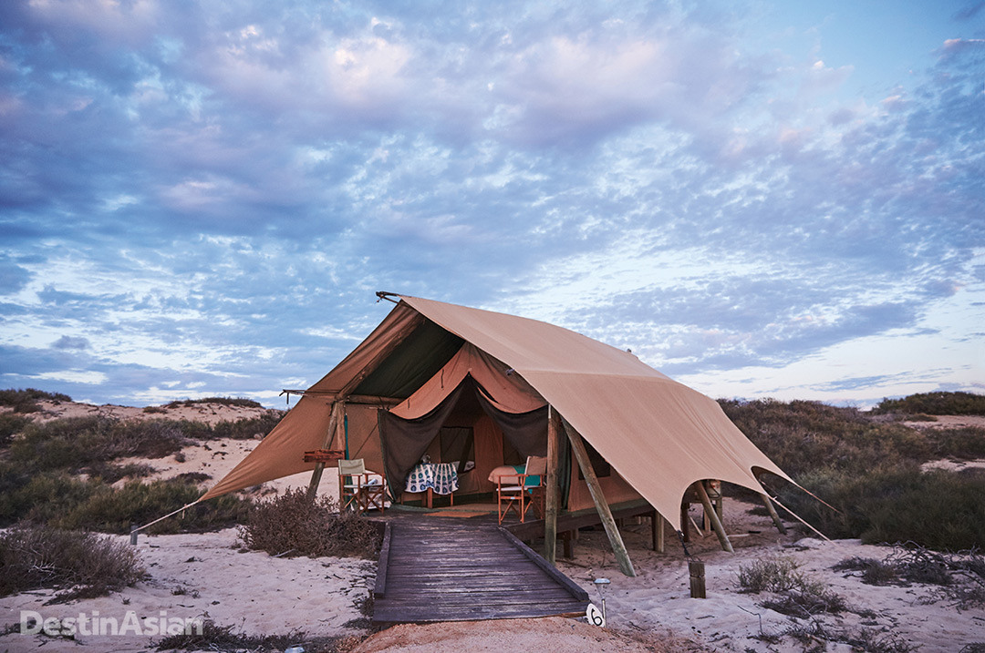 One of the 16 eco-luxe tents at Sal Salis.