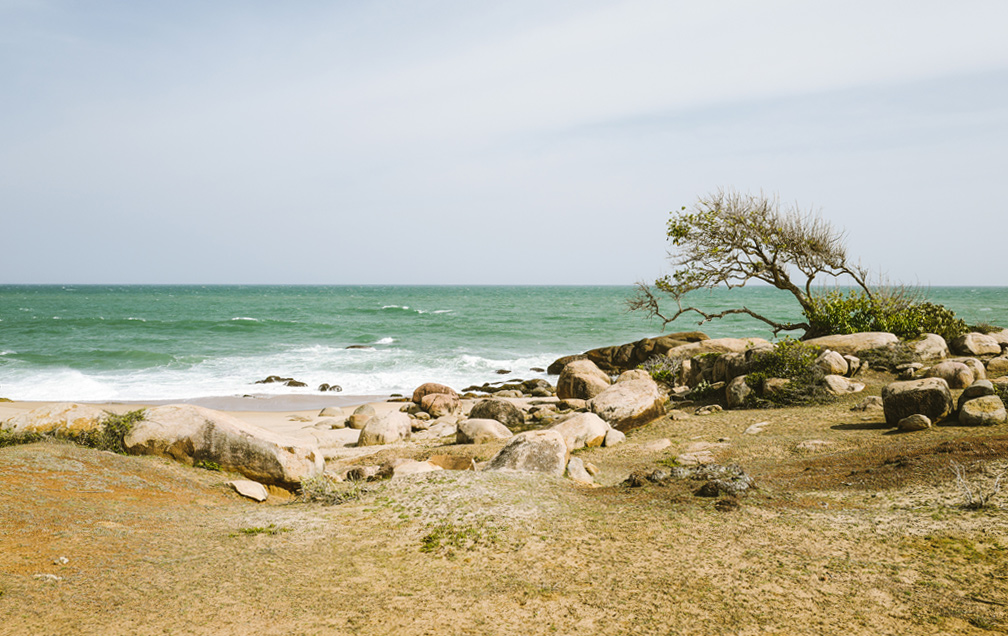 Nestled on the fringes of Yala National Park, Wild Coast Tented Lodge sits on a deserted beach.