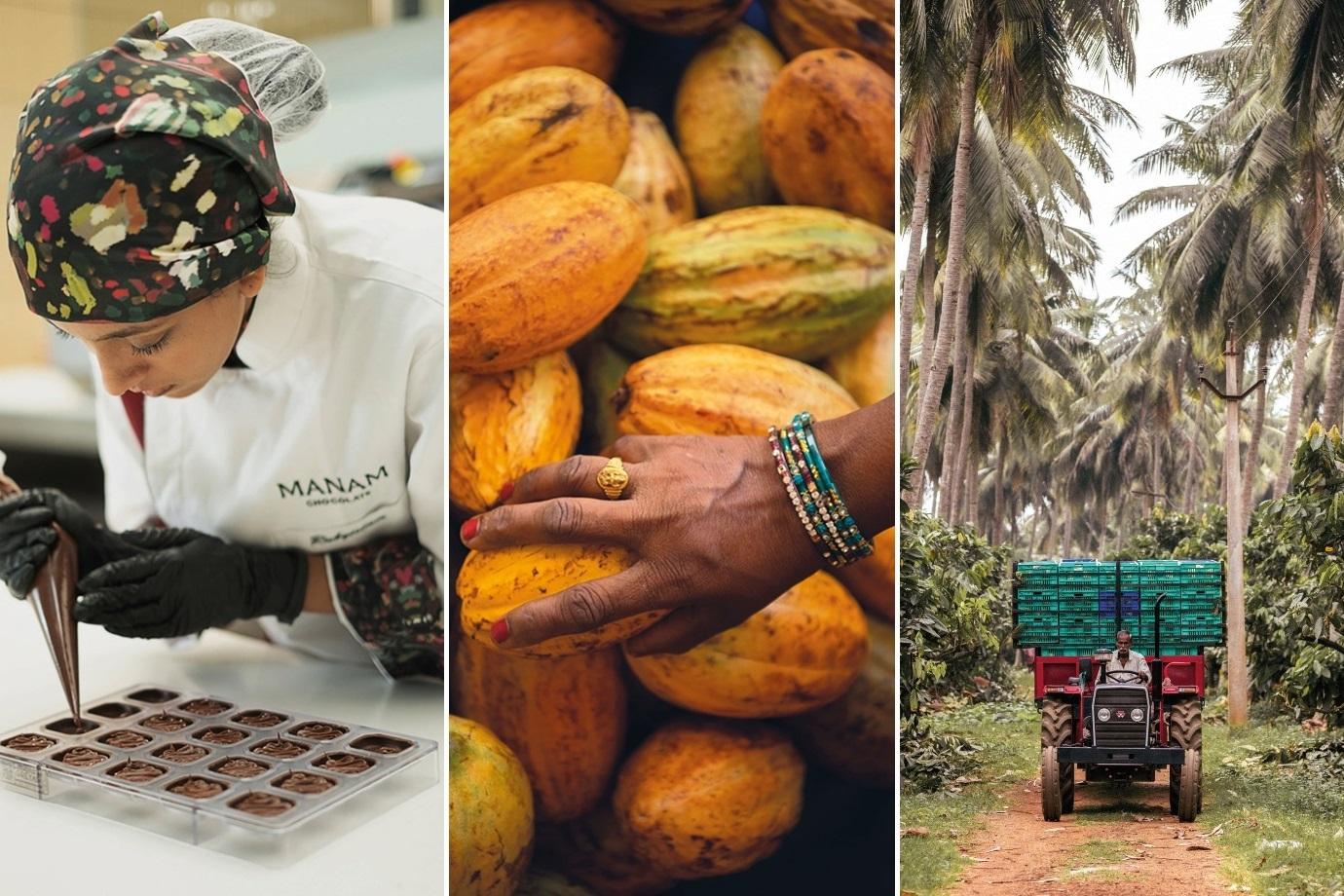 South India craft chocolate - hero image