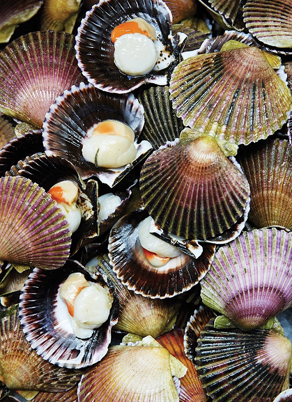 Scallops at Surquillo Market, which showcases the country's dizzying array of produce, seafood, and meats.