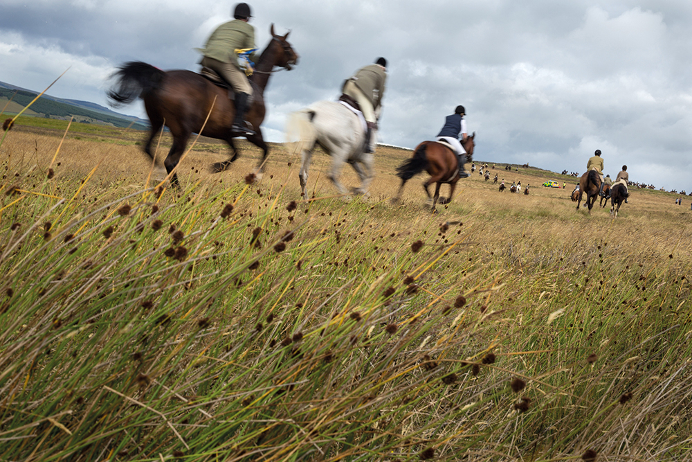 Horsemen on the gallop during the Common Riding in Lauder.