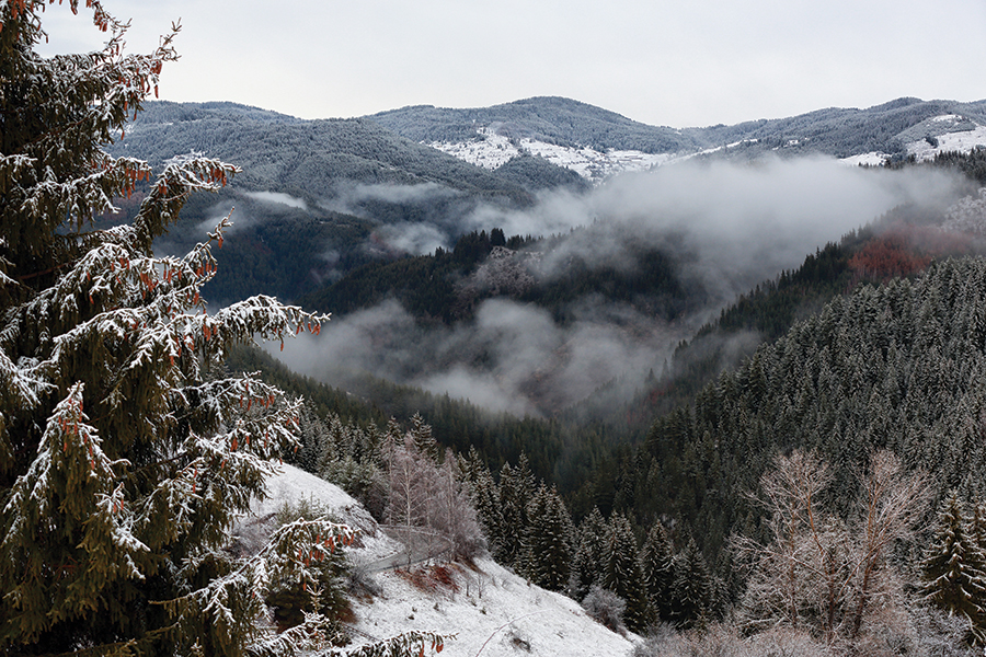 Mountain scenery in the pine-clad Rhodopes.