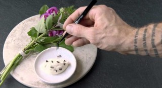 Noma: My Perfect Storm