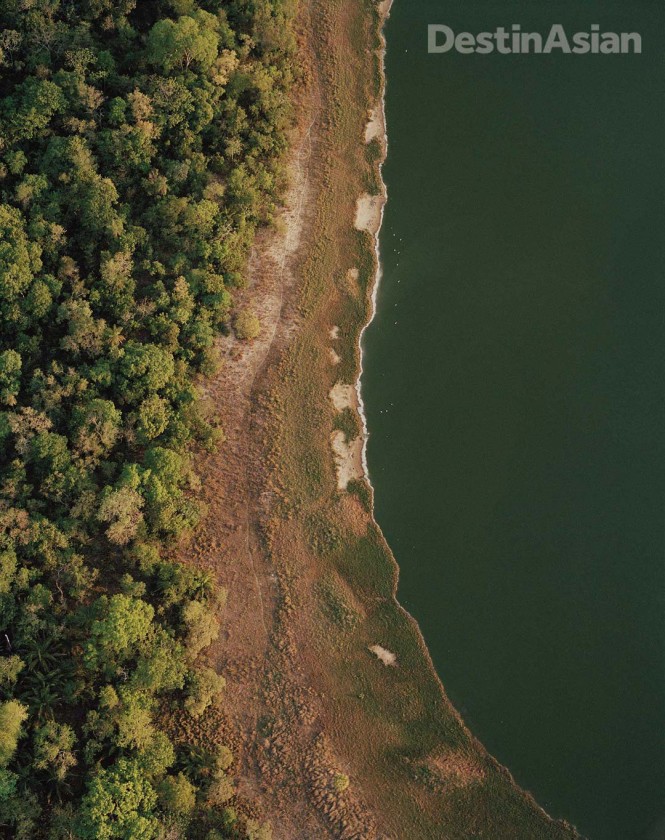 A forest-fringed lagoon in the vast Pantanal.