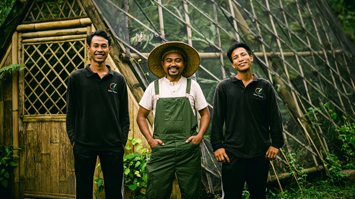 How Banyan Tree is Saving Fireflies in Bali