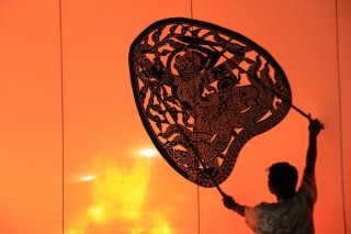 Shadow Puppet Performance