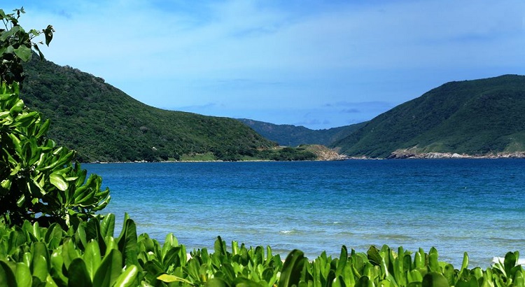 Con Dao is known for being home to a rich biodiversity, including several endemic mammals, 44 unique plant species, and marine life.