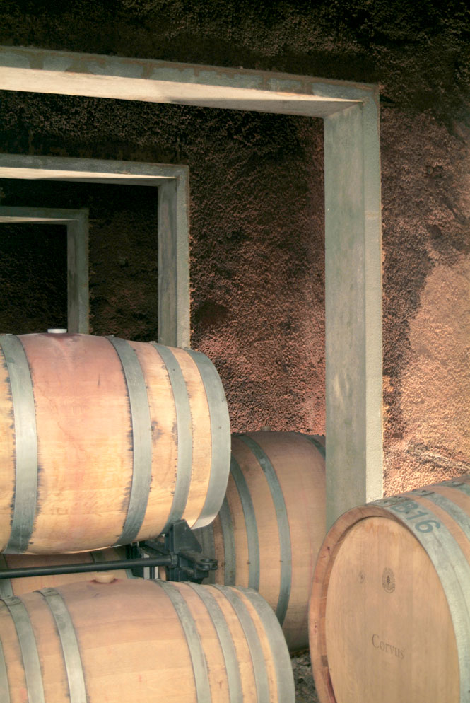 Wine barrels in the Corvus cellar.