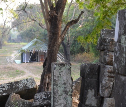 Camping Alongside Angkorian temples