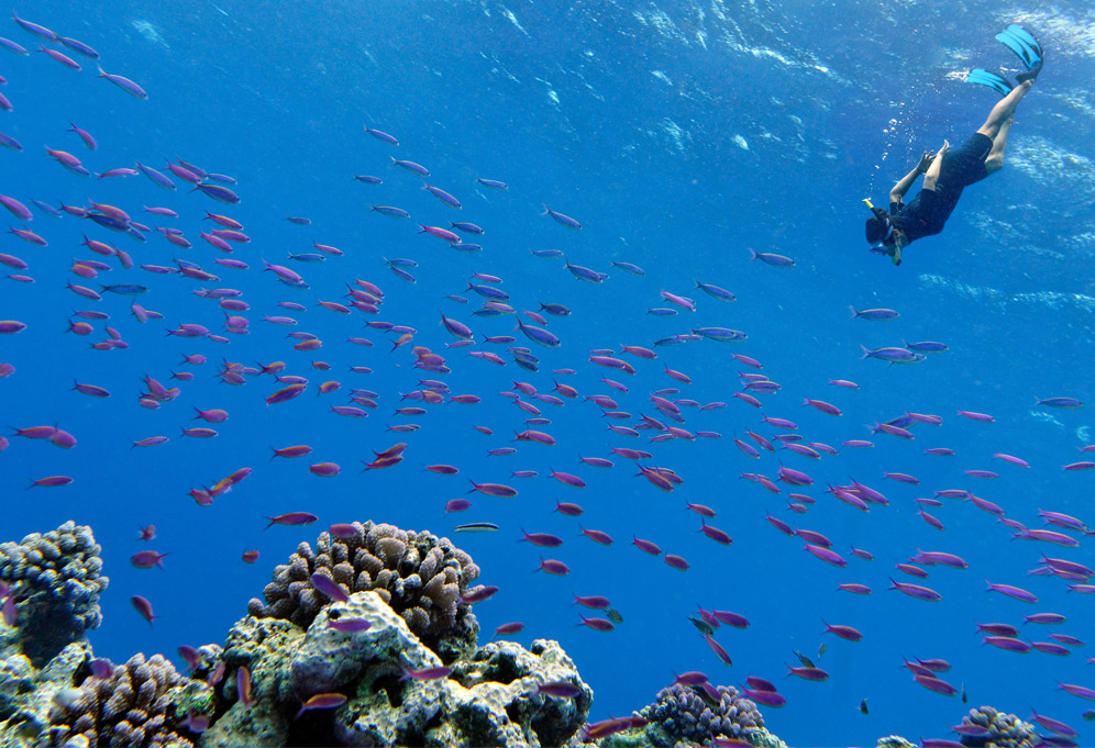 New Caledonia boasts one of the largest lagoons and coral reefs in the world.