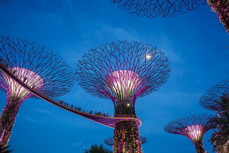 Lee Kuan Yew's vision for a garden city reaches its zenith at Gardens by the Bay, a waterfront park that is home to domed conservatories and, pictured here, a grove of so-called Supertrees planted with bromeliads, orchids, ferns, and flowering climbers.