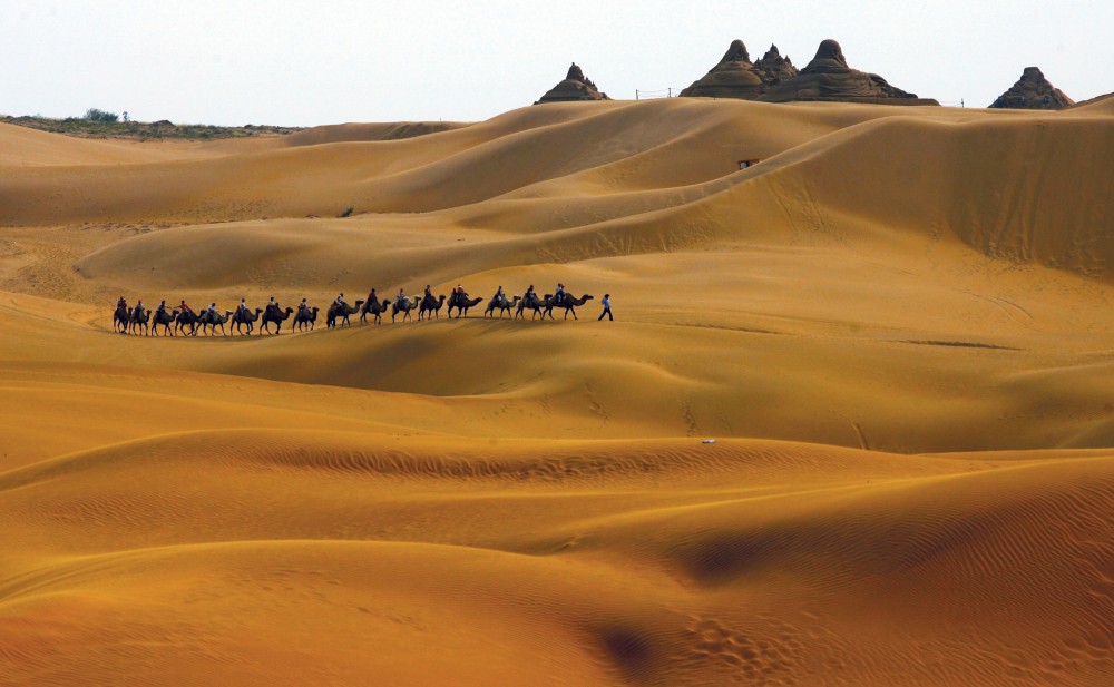 Camel treks across the dunes are an attraction at the Xiangshawan theme park in Inner Mongolia's Kubuqi Desert (Getty Images).