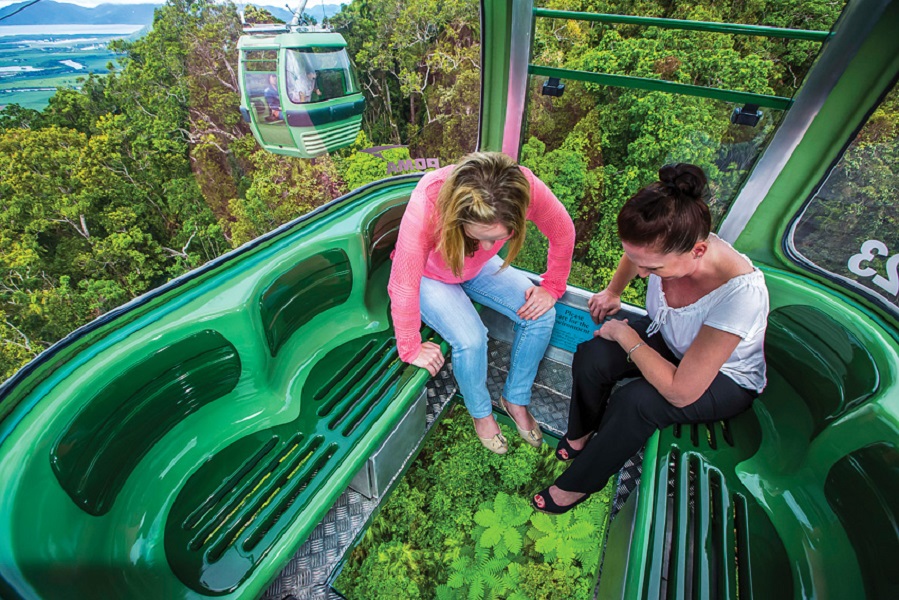 Other gondolas offer glass floors for clear views of the forest below.