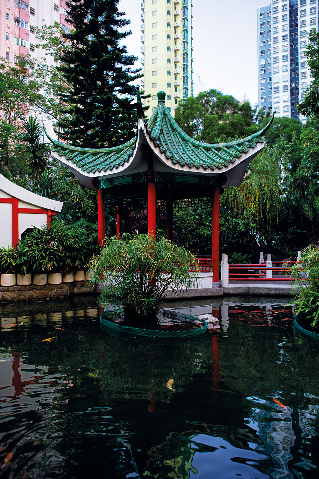 The lotus pavilion at Hollywood Road Park.