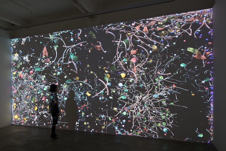An installation view of Jennifer Steinkamp’s Diaspore.