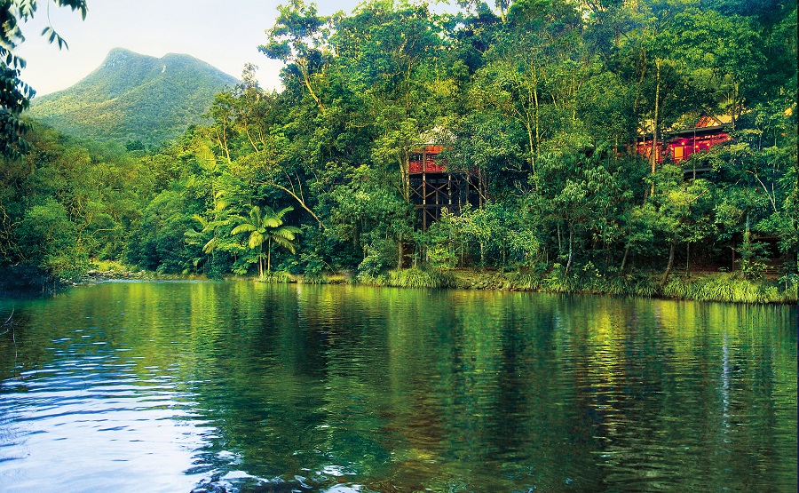 Silky Oaks is nestled amid the world's oldest rain forest.
