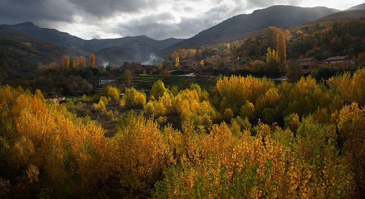 Autumn colors on a hillside above Hervás.