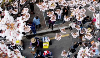 Flower Festival